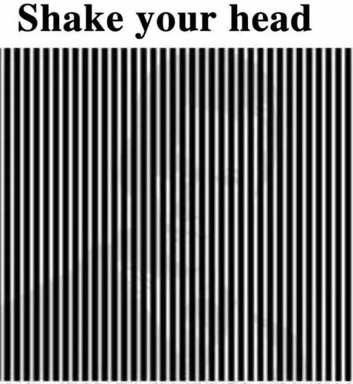 shake your head
